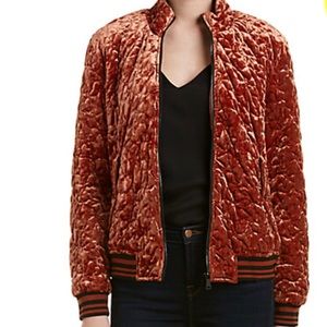 Bernardo Velvet Track Jacket